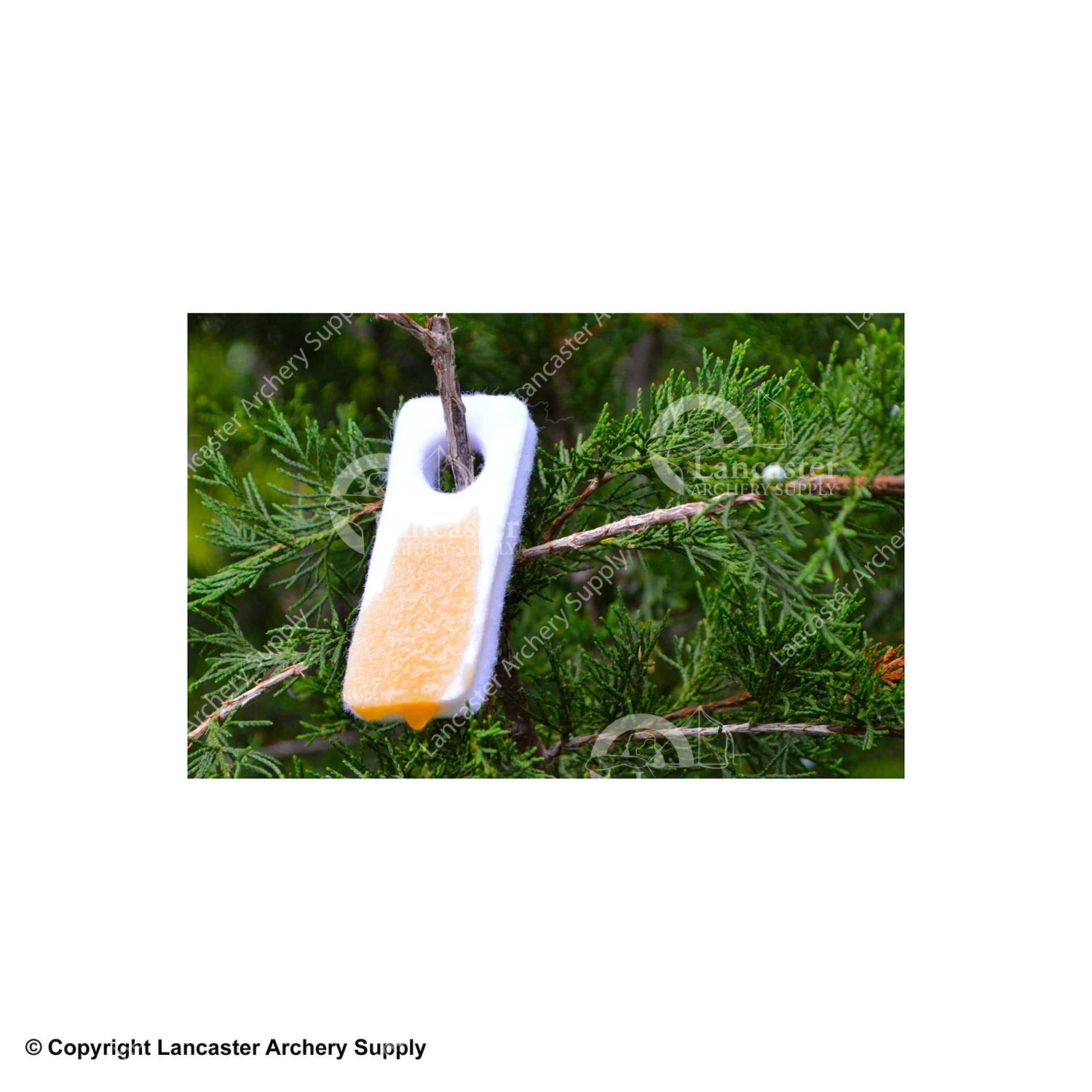 Wildlife Research Golden Estrus Gel With Scent Reflex Technology 2 Wildlife Research Golden Estrus Gel With Scent Reflex Technology - Image 2